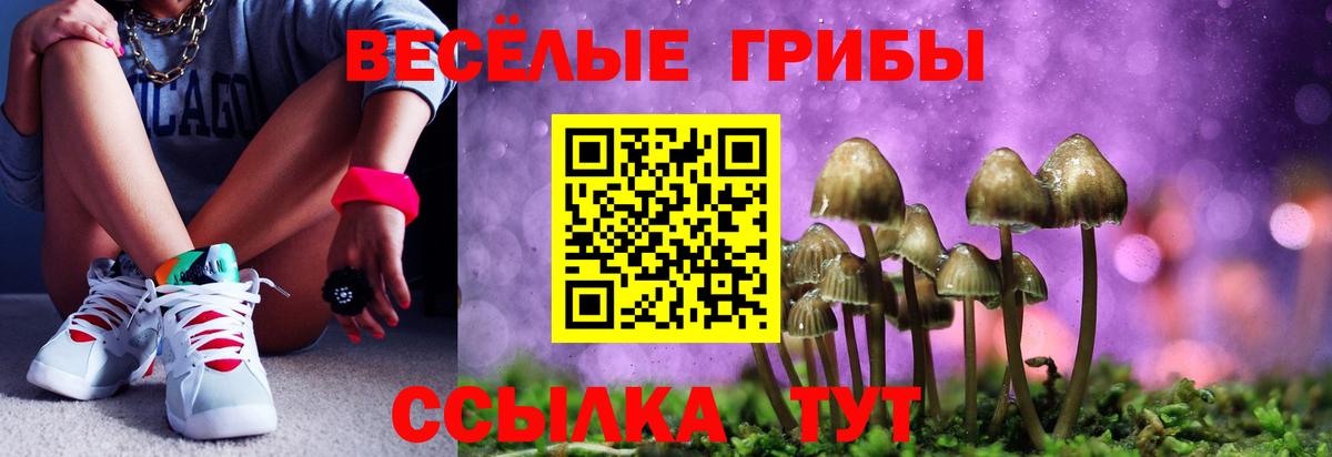 Псилоцибиновые грибы GOLDEN TEACHER Тверь